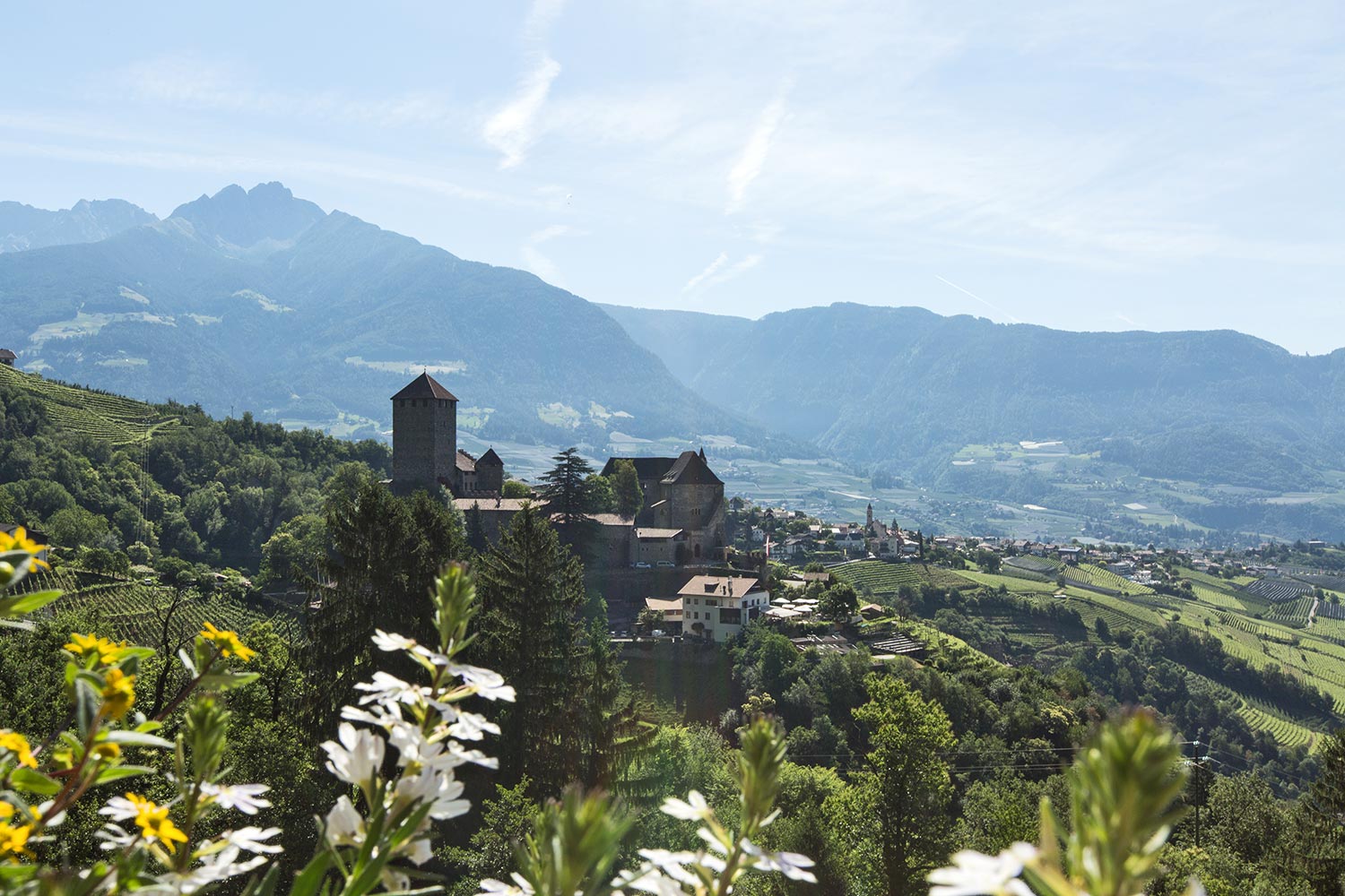 Vista su Castel Tirolo - Albergo Schneeweisshof