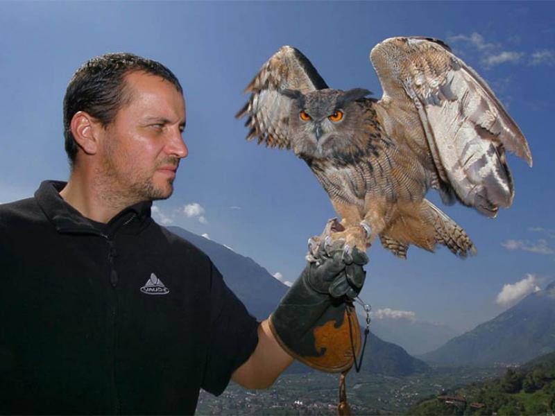 Vogelpflegezentrum mit Greifvogel Flugschau