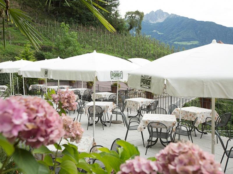 La terrazza soleggiata dell’Albergo Schneeweisshof