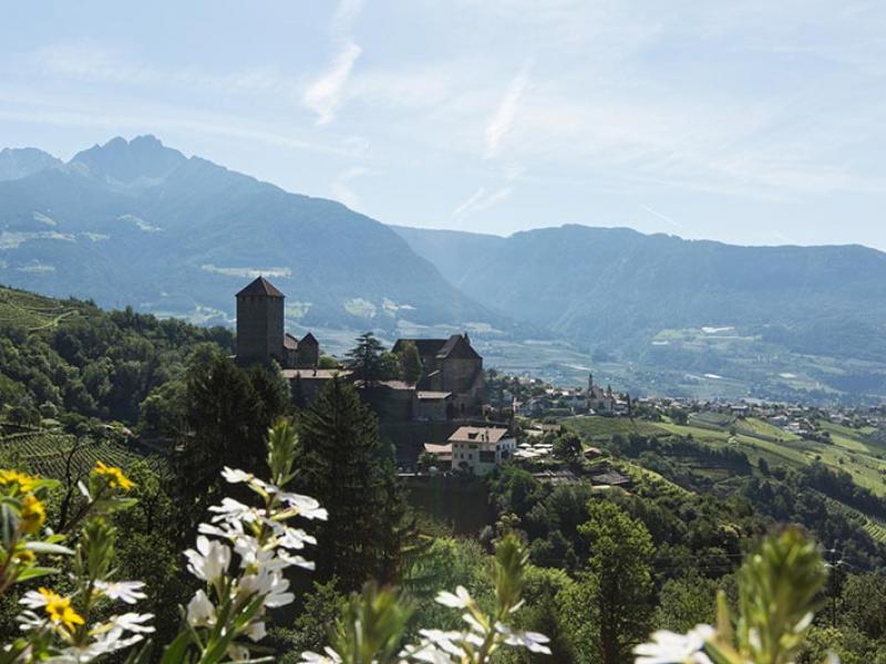 Vista dal maso Schneeweisshof su Castel Tirolo