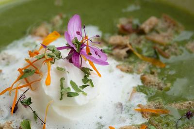 Zuppa alle erbe selvatiche fatta in casa, con fiocco di panna Zuppa alle erbe selvatiche fatta in casa, con fiocco di panna