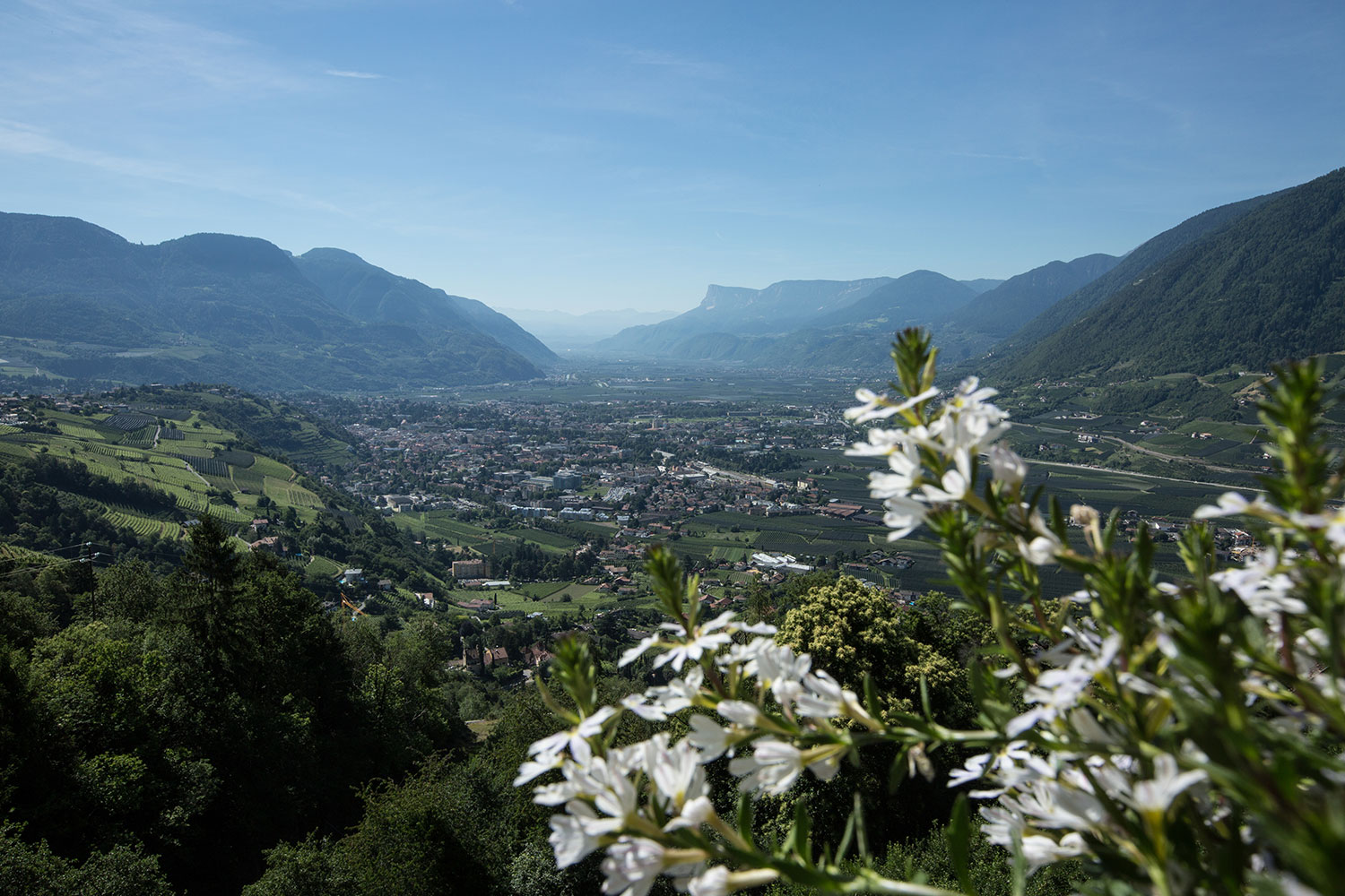 Vista sulla Val d’Adige dal maso Schneeweisshof