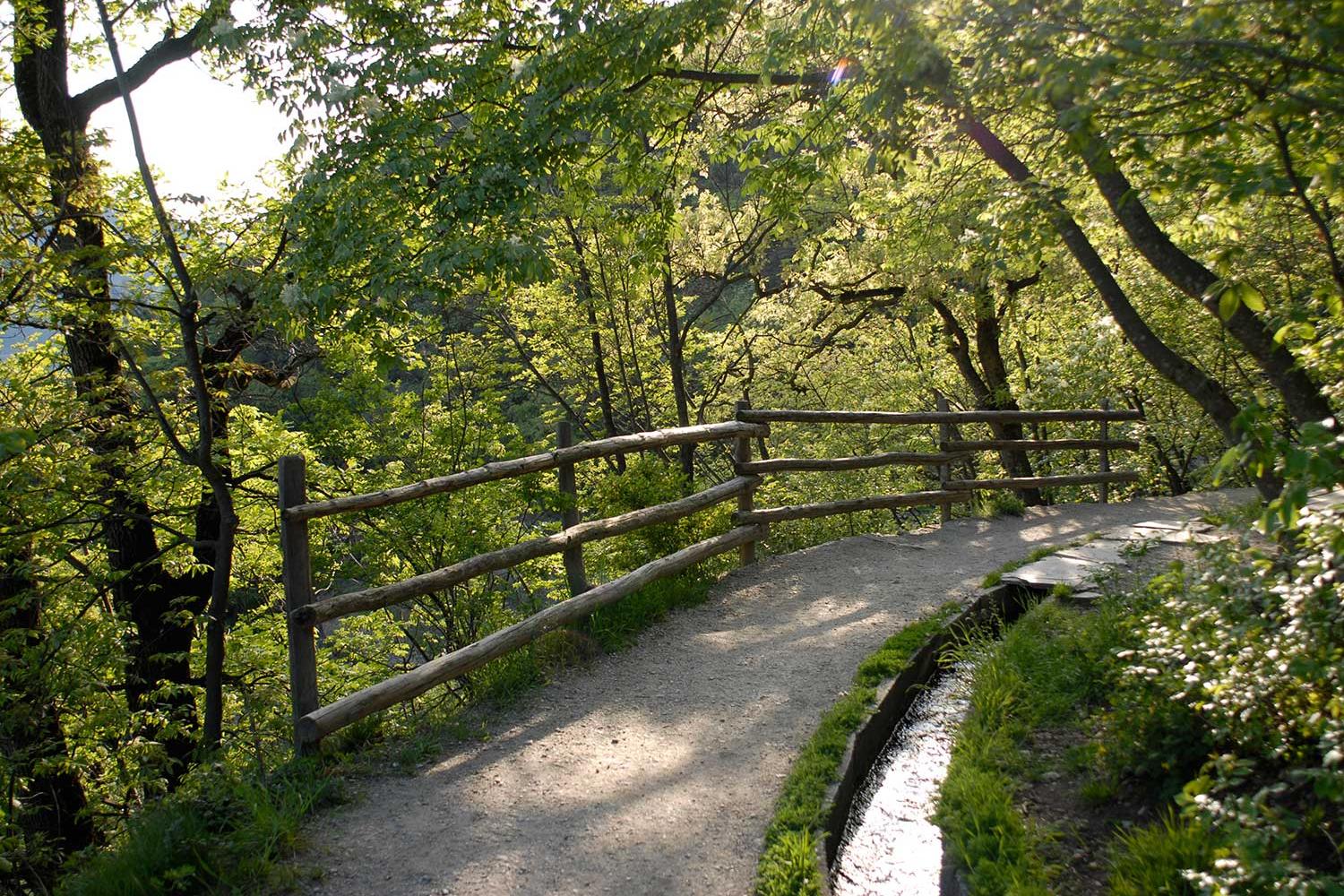 Sentiero lungo la roggia Tirolo-Lagundo (Waalweg)