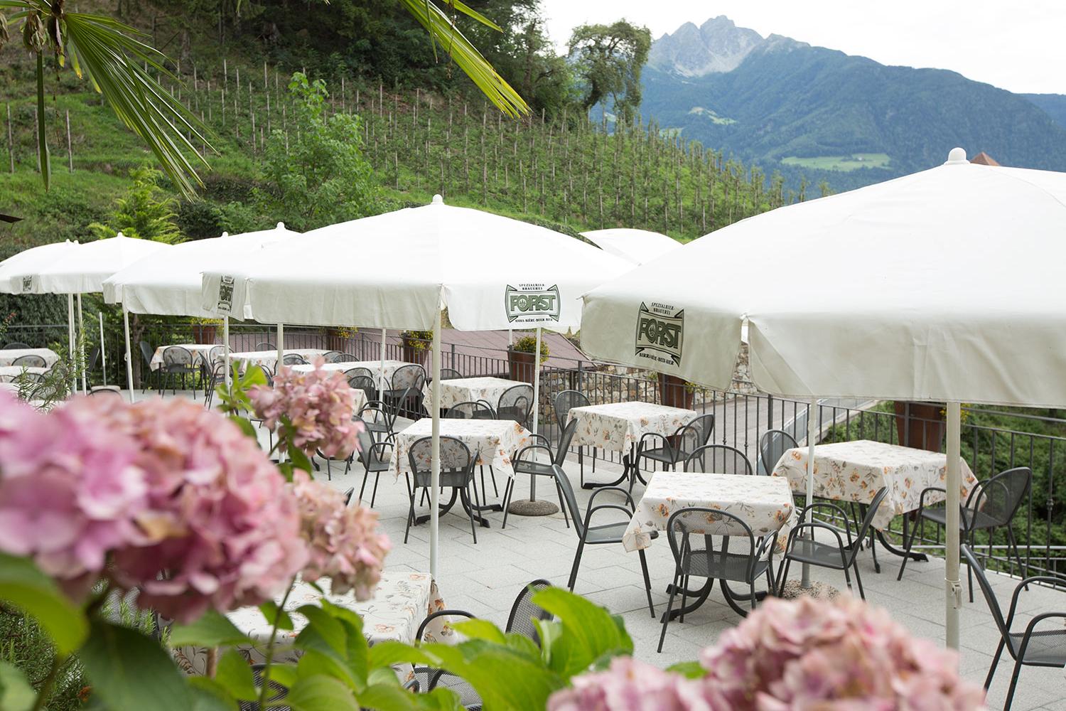 Grande terrazza soleggiata - Albergo Schneeweisshof