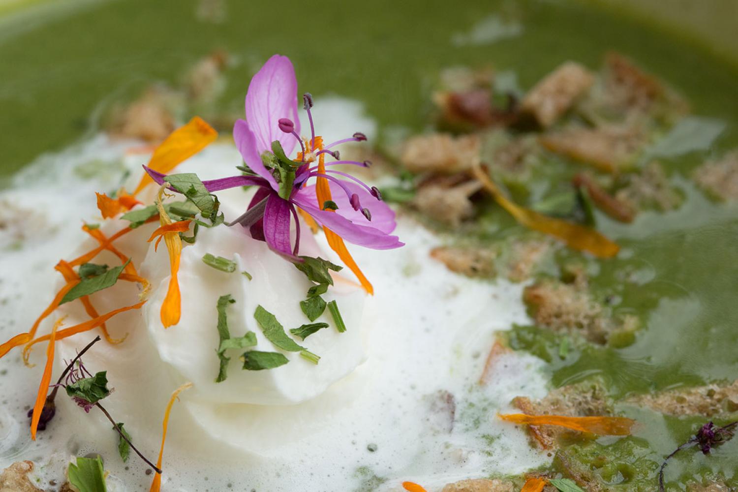 Suppe aus Wildkräutern mit Sahnehaube