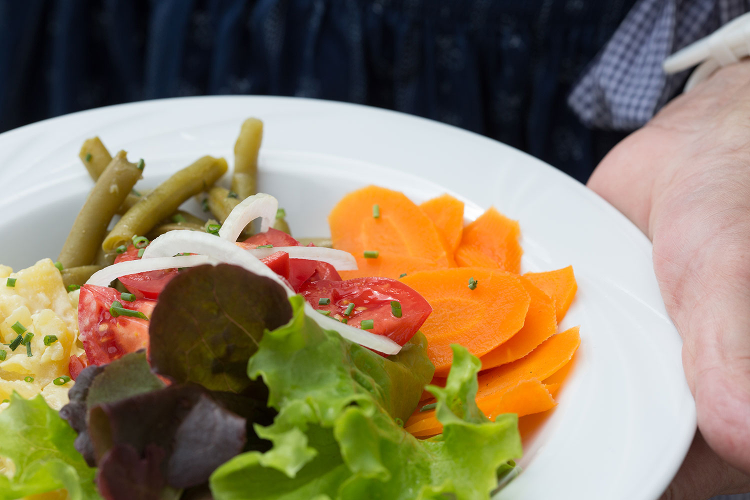 knackiger Salat aus unserem Garten