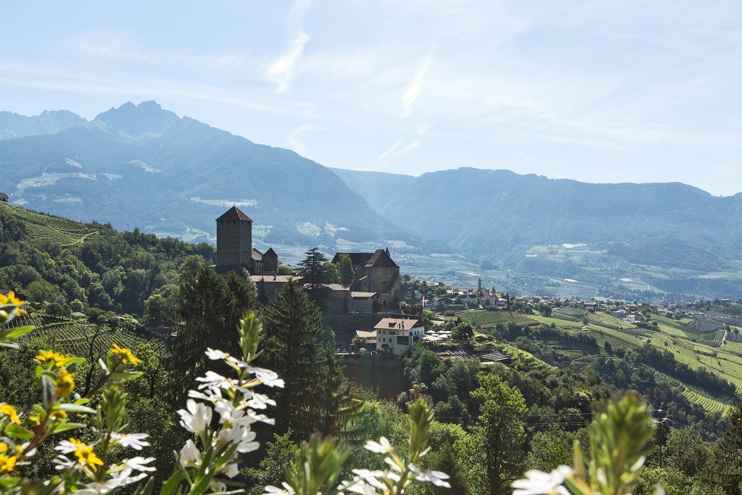 Ausblick auf Schloss Tirol - Gasthaus Schneeweisshof